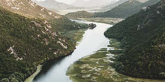 Pexels Arturas Kokorevas 12271300