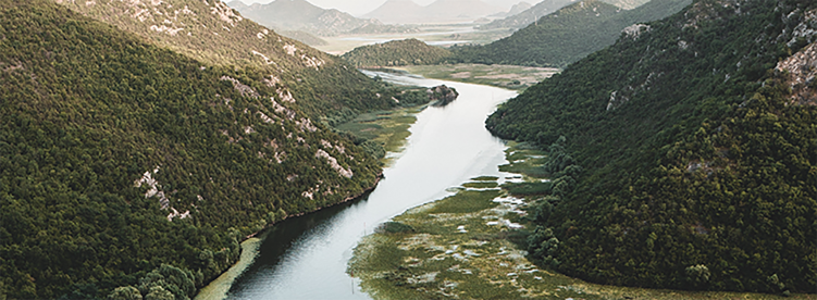 Pexels Arturas Kokorevas 12271300