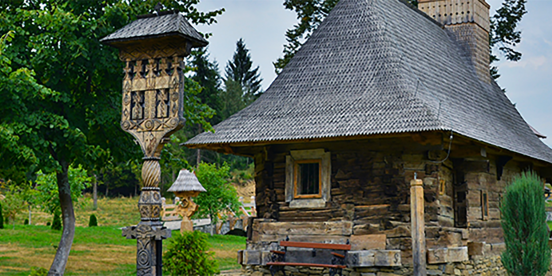 Pexels Marian Strinoiu 12554584