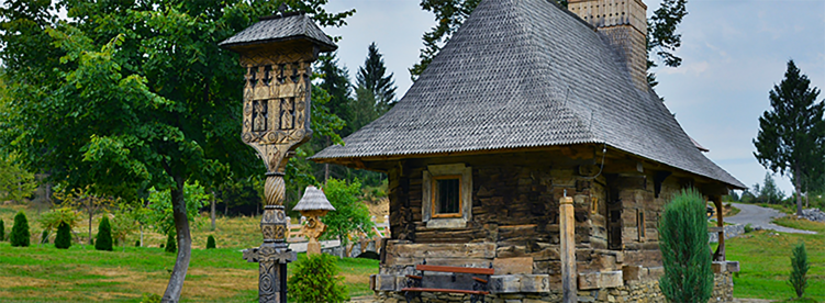 Pexels Marian Strinoiu 12554584