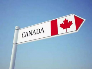 加拿大担保移民计划有哪些类别
