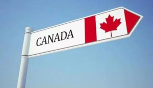 加拿大人才计划项目有哪些优势