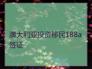 188a投资移民要求有哪些
