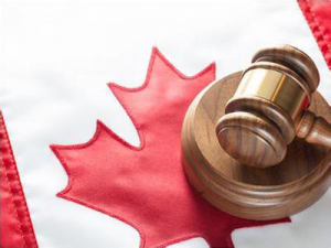 加拿大买房移民有什么流程